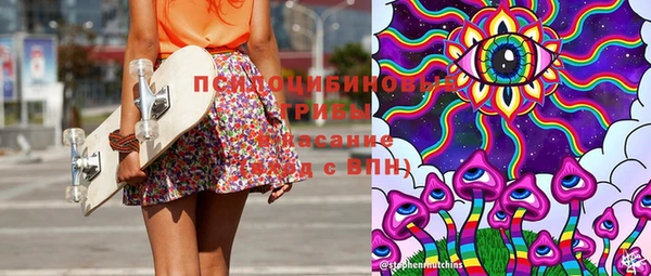 ПСИЛОЦИБИНОВЫЕ ГРИБЫ Михайловск