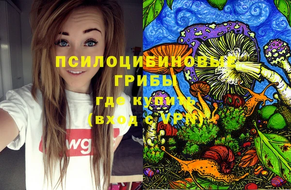 индика Осинники
