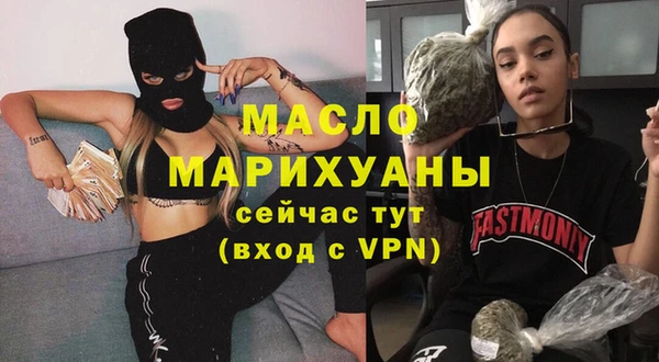 шишки Надым