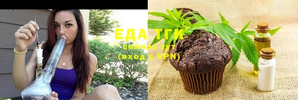 шишки Надым