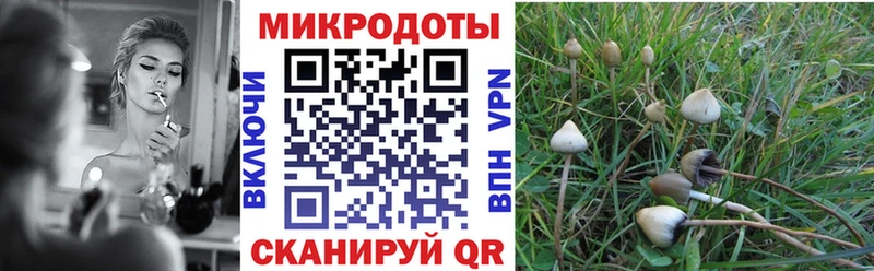 наркотики  Перевоз  Псилоцибиновые грибы Cubensis 